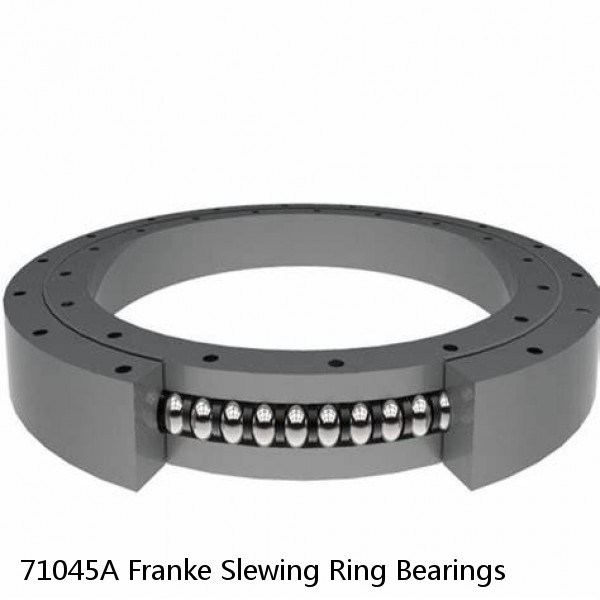 71045A Franke Slewing Ring Bearings