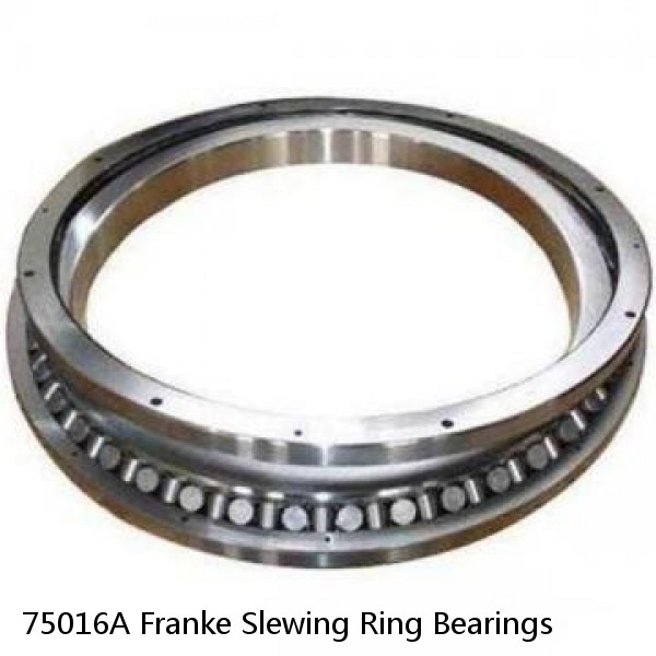75016A Franke Slewing Ring Bearings