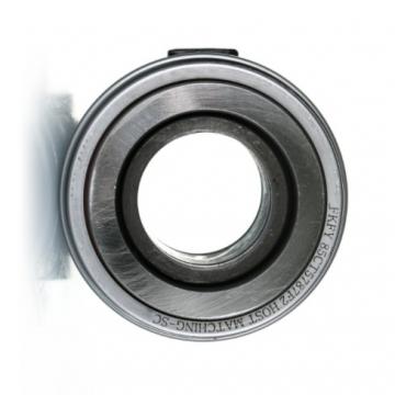 Deep groove ball bearing 6204DDU original Japan famous brand nsk koyo high quality and precision best price