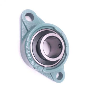 Hot Sale Various NTN Miniature and Small Size Bearings with Suitable Price