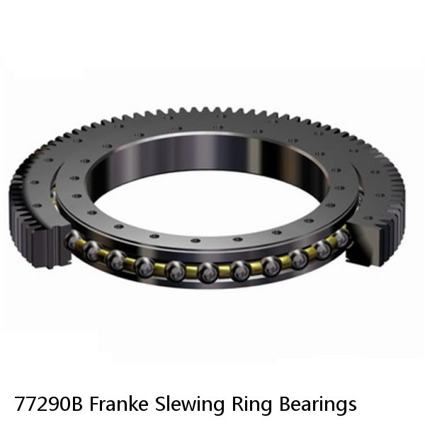 77290B Franke Slewing Ring Bearings