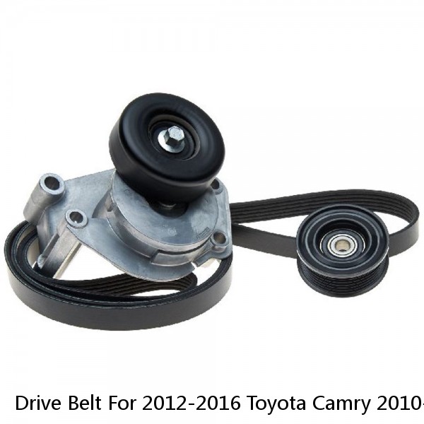 Drive Belt For 2012-2016 Toyota Camry 2010-2015 Lexus RX350 61.02 in. Eff Length (Fits: Toyota)