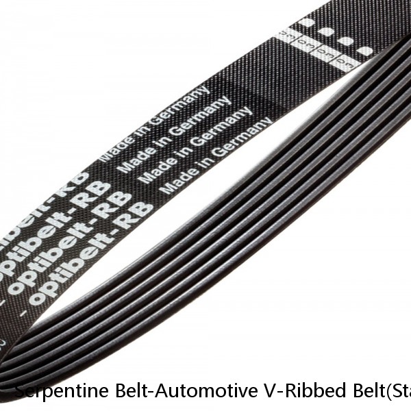 Serpentine Belt-Automotive V-Ribbed Belt(Standard) Roadmax 6K612AP (Fits: Volkswagen)