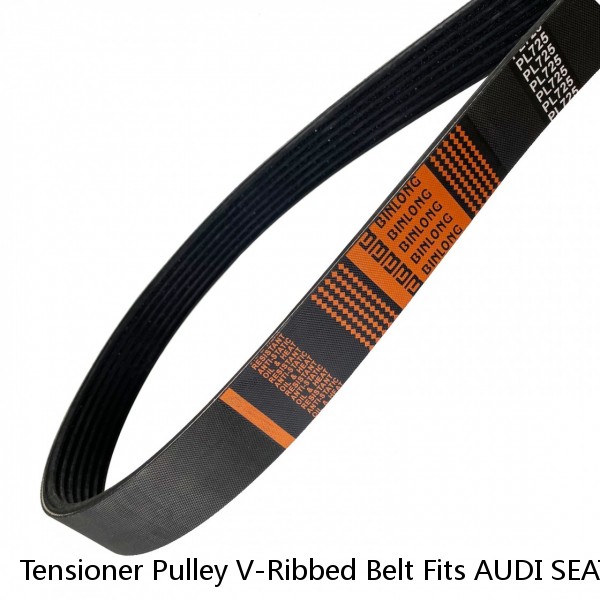 Tensioner Pulley V-Ribbed Belt Fits AUDI SEAT SKODA Superb VW Passat B6 B7 2004- (Fits: Volkswagen)