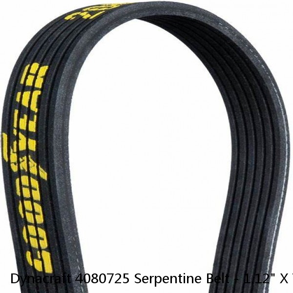 Dynacraft 4080725 Serpentine Belt - 1.12" X 72.50" - 8 Ribs